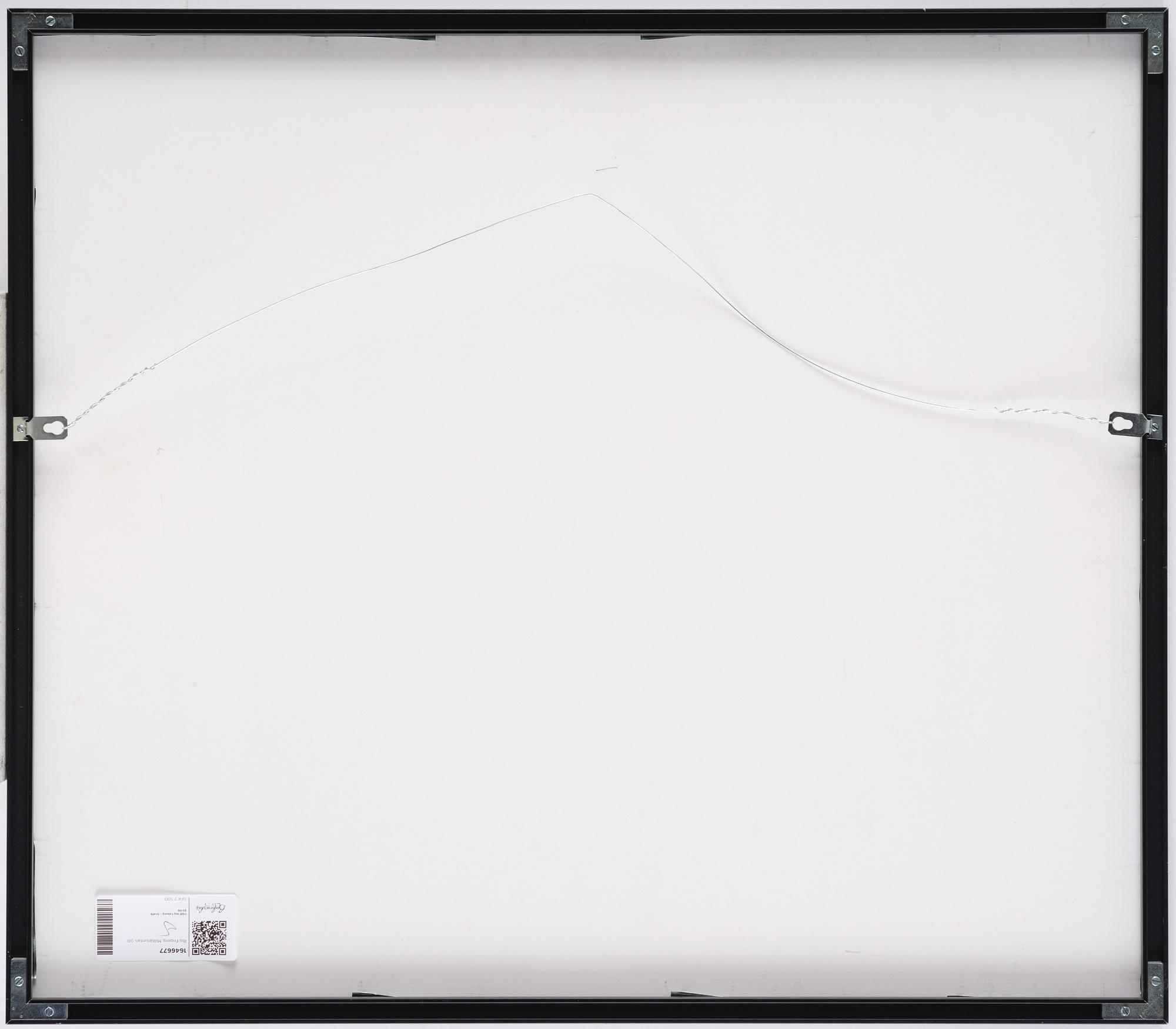 Roj Friberg, Militärjuntan.