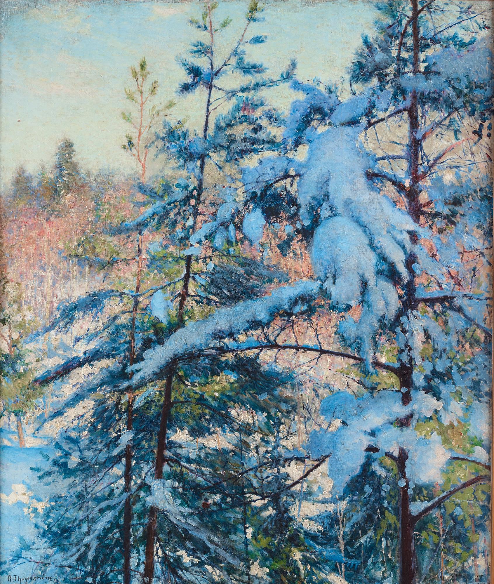 Robert Thegerström, Snow-laden pines.
