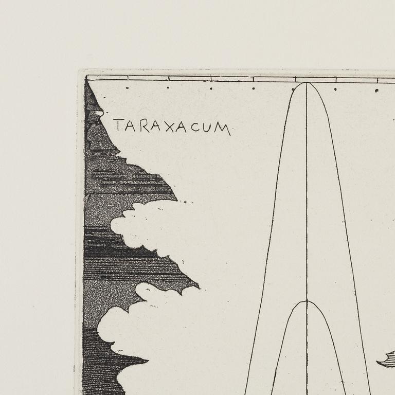 Christine Ödlund, "Bitter leaves and high frequencies".