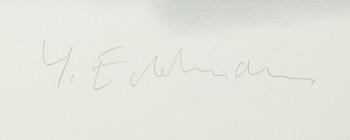 Yrjö Edelmann, "Stringed case of lemons I".