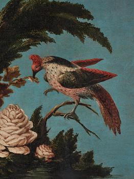 Italian school 18th Century. Stillifes with birds, a pair.