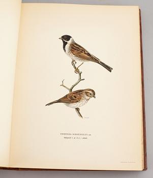 A set of three books about Swedish birds by von Wright. 1927.