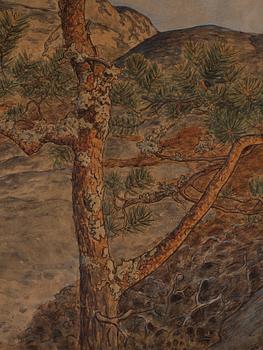 Gustaf Fjaestad, Landscape.