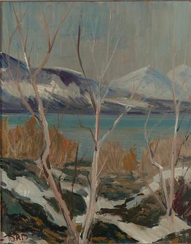 Tord Leander-Engström, Mountain Landscape.