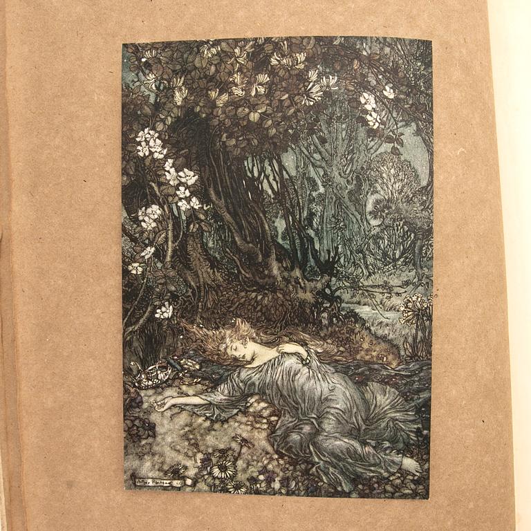 Arthur Rackham, book, “A Midnight's Dream”, no. 632/1000, 1908.