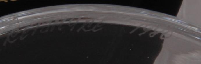 GLAS. 13 st. Reijmyre.