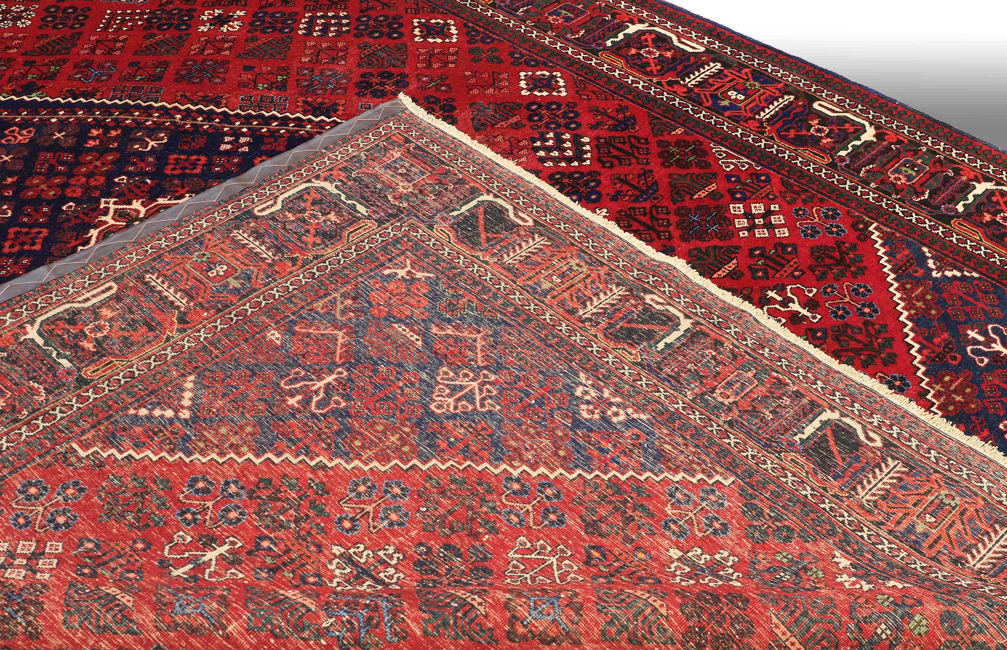 A CARPAT, Joshaghan, 386 x 272 cm.