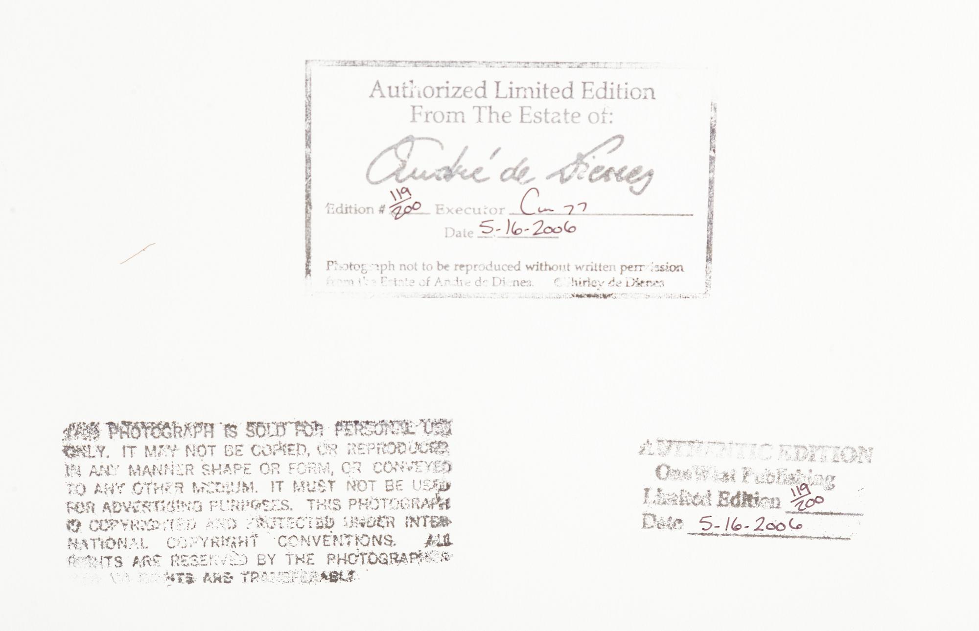 ANDRÉ DE DIENES, efter, photo/fine art print, stamped by the estate 119/200 and dated 2006 verso.