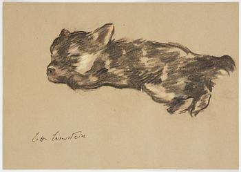 Lotte Laserstein, Sleeping puppy.