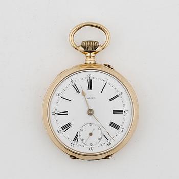 HERRFICKUR, guld 18K, Halda, T-verk, numrerad 4769, boetten från 1897. Tot ca 94 gram.