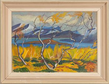 Tord Leander Engström, Mountain Landscape in Autumn Colours.