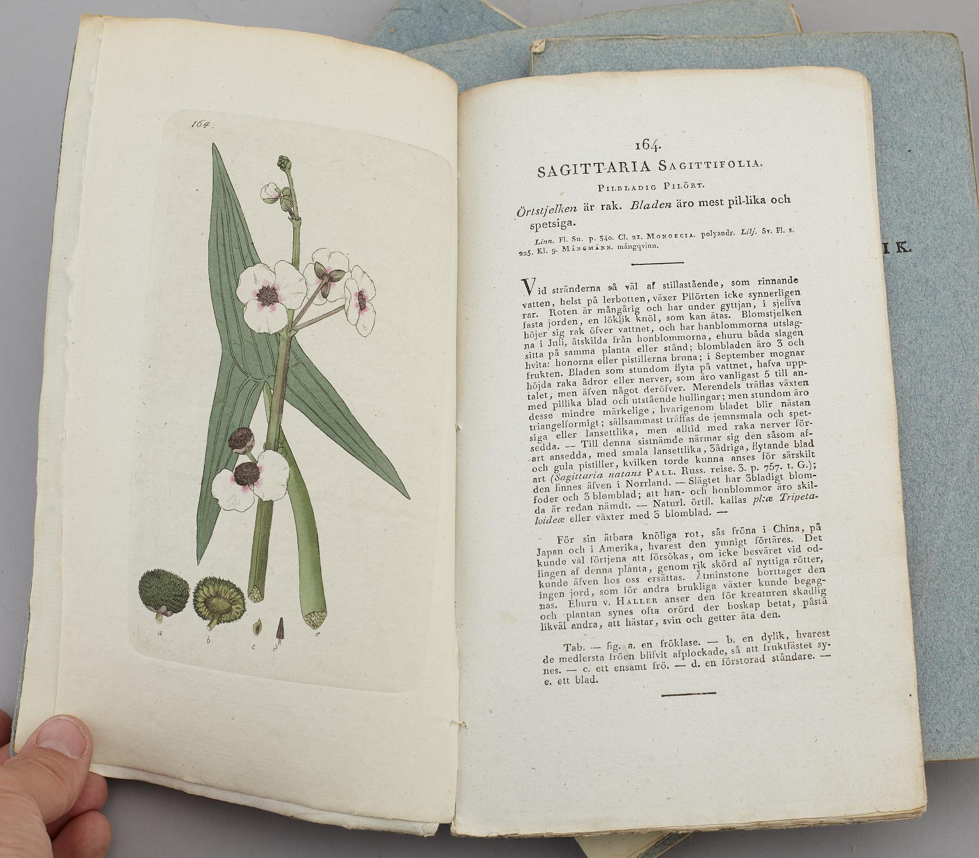 JOHAN WILHELM PALMSTRUCH, "Svensk Botanik, vol I-V. 1803-1805.