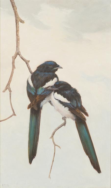 Reima Nurmikko, Magpies.