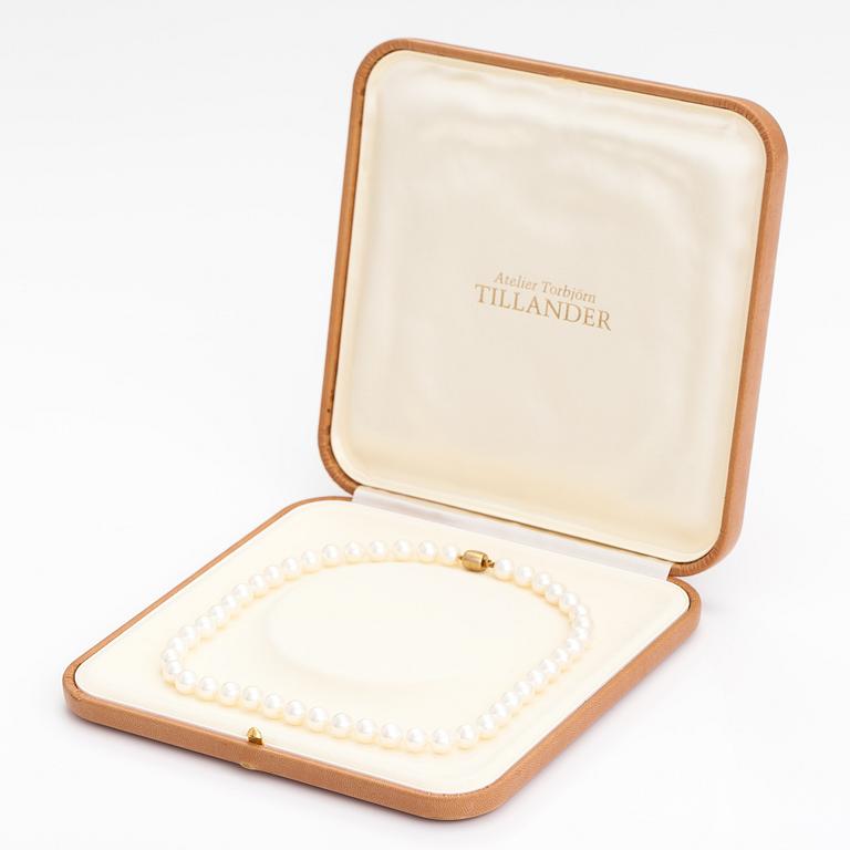 A pearl collier with ajoya pearls and a 14K gold clasp. Torbjörn Tillander, Helsinki 2015.