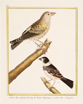 FRANCOIS NICOLAS MARTINET, 3 st handkolorerade planscher, signerade.
