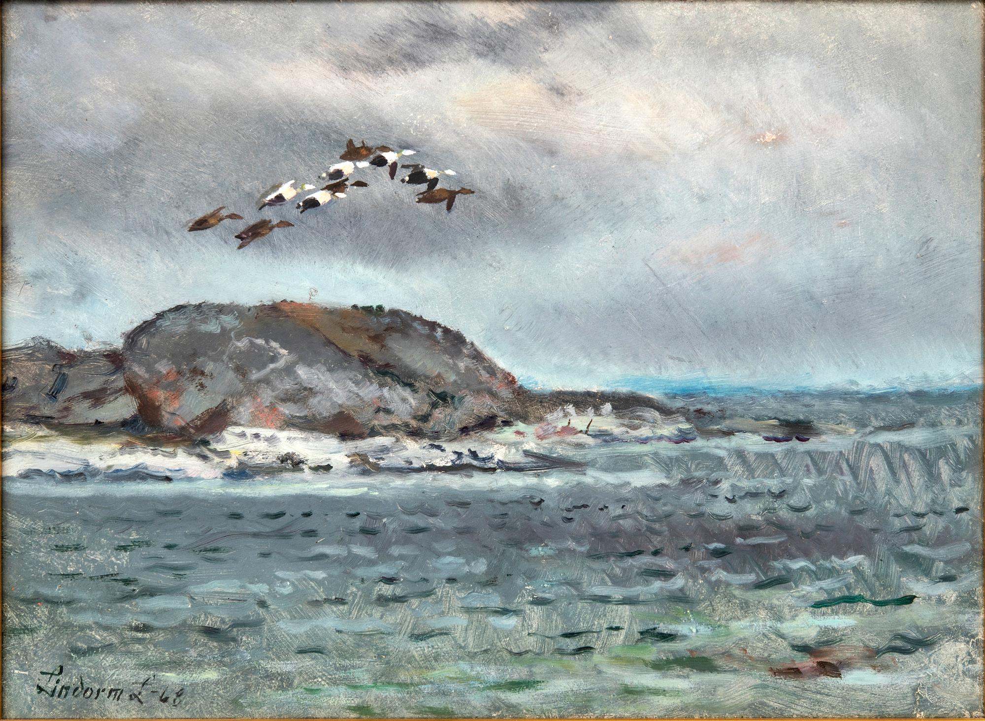 Lindorm Liljefors, "Ejderstreck".