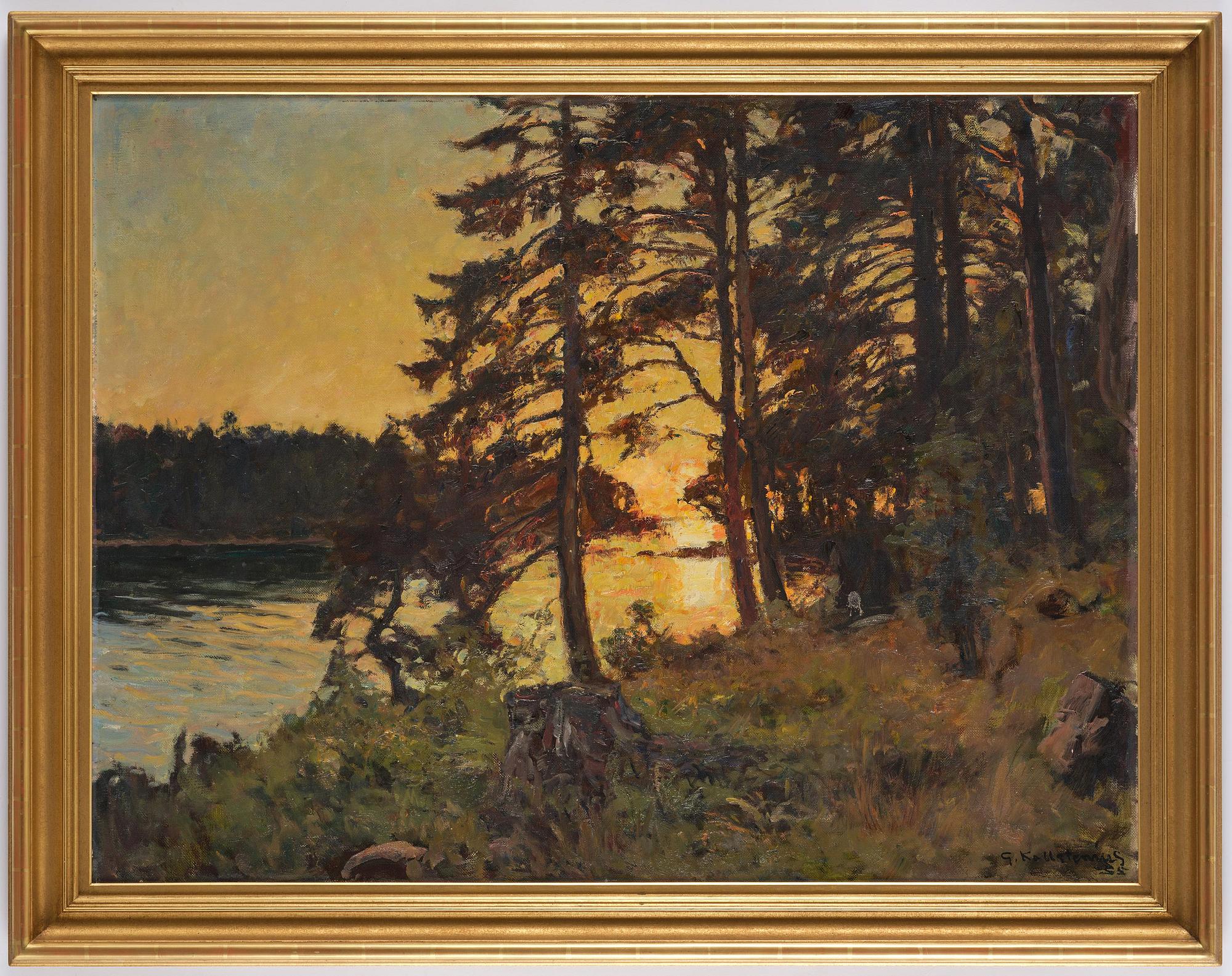 Gottfrid Kallstenius, Sunset through the pine trees.