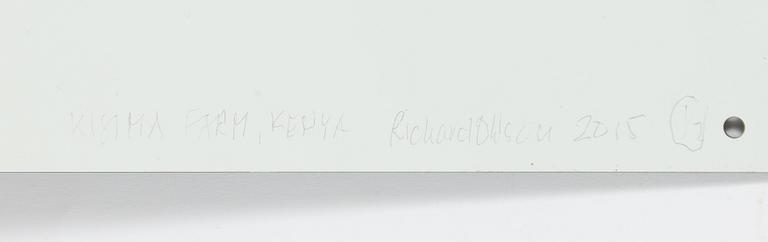 Rickard Ohlson, "Kisima Farm, Kenya II".