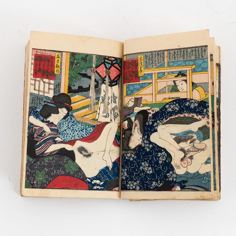 Koikawa Shozan, bok, shunga, Japan 1857.