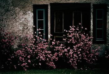 75. Hans Hammarskiöld, "Faludden, Gotland, 1975".