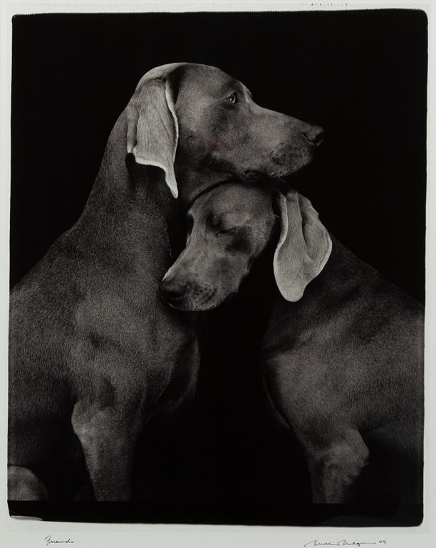 William Wegman, "Friends".