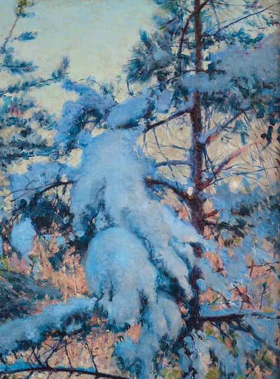 Robert Thegerström, Snow-laden pines.