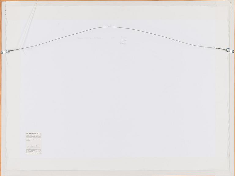 Kirsi Neuvonen, Never- Never-Safari.