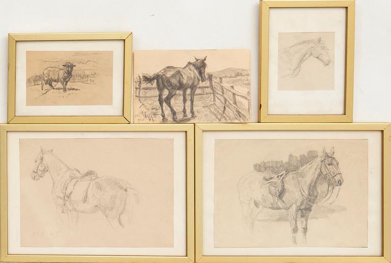 Hjalmar Asp, Animal Studies 5 pcs.