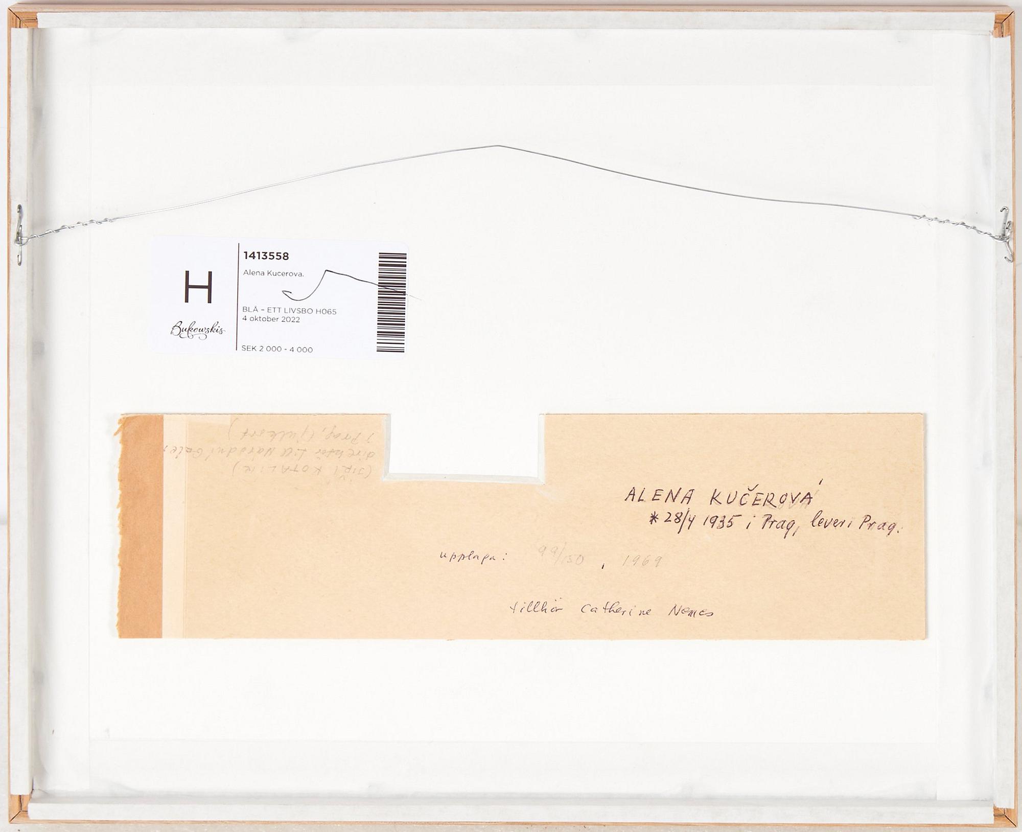 Alena Kučerová, Untitled.