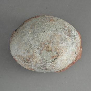 DINOSAURIEÄGG, fossil, sannolikt ca 60-70 miljoner år före Kristus.