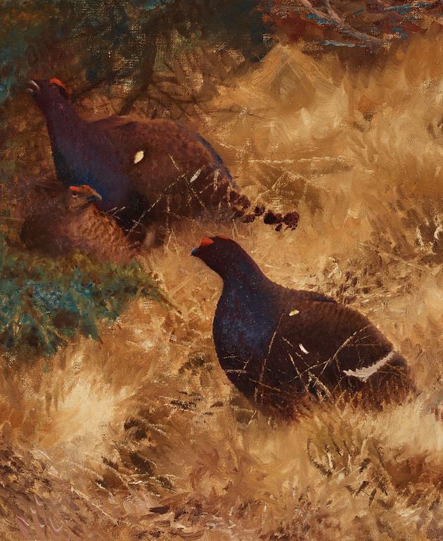 Bruno Liljefors, Grouse in Autumn.