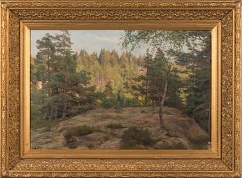 Berndt Lindholm, Forest view.