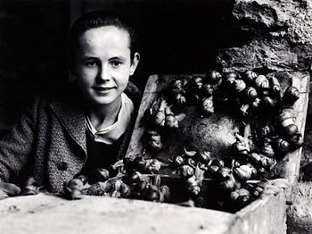 307. Christer Strömholm, "Jura Mountains, Frankrike 1949".