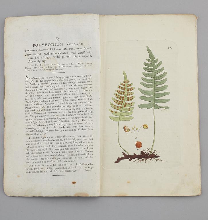 JOHAN WILHELM PALMSTRUCH, "Svensk Botanik, vol I-V. 1803-1805.