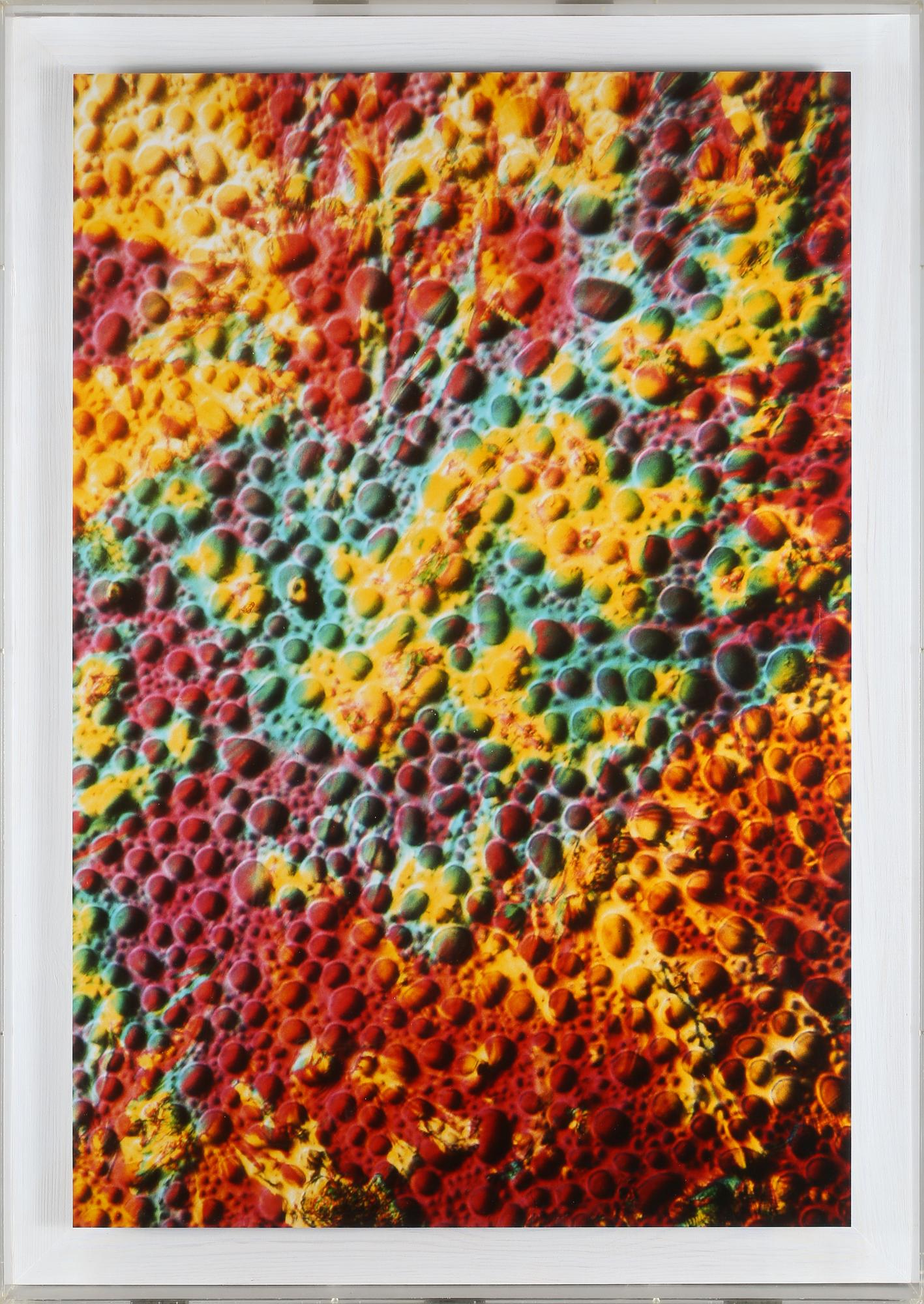 ERIC H OLSON, cibachrome, signerad och numrerad 6/7 à tergo.