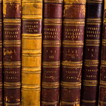 BOOKS, 12 volumes, 'English Botany' by Sir James Edward Smith, James Sowerby, London, 1832-46.
