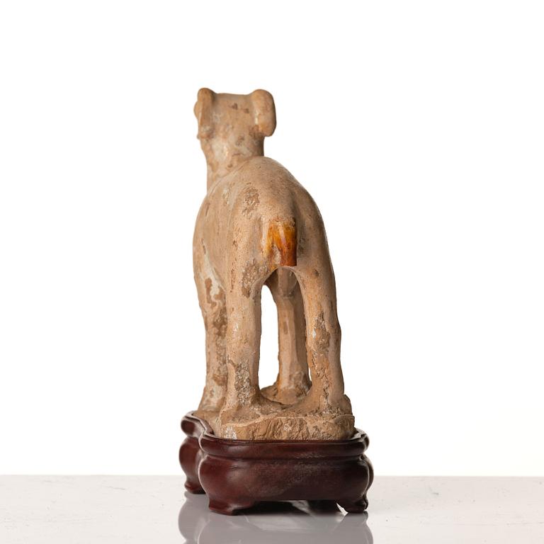 Vinthund, lergods. Tangdynastin (618-907).