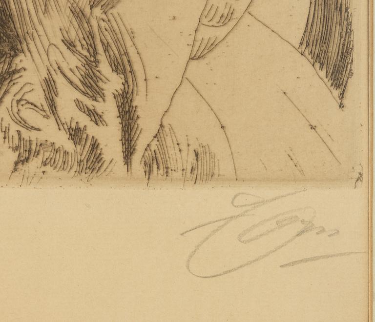 Anders Zorn, "Skerikulla".