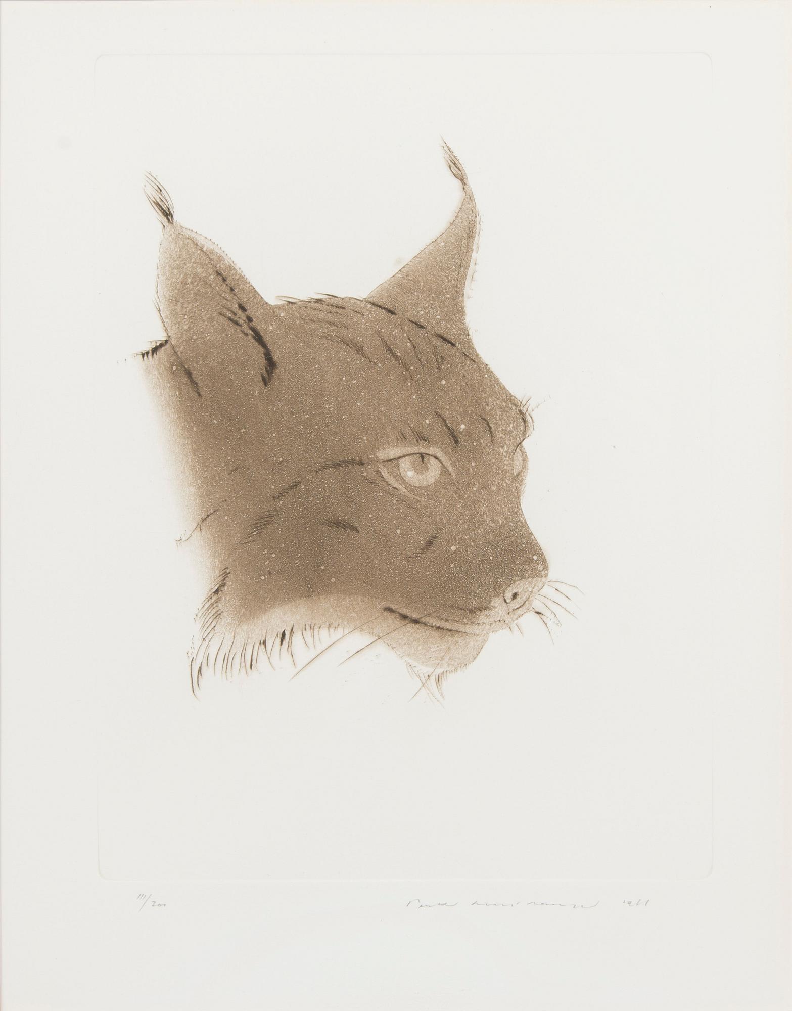 Pentti Lumikangas, Ilves.