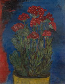 Anna Berg, "Sedum mot blå fond".
