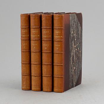 Klassisk stockholmstopografi 1800-01 i tidiga hedbergband (4 vol).