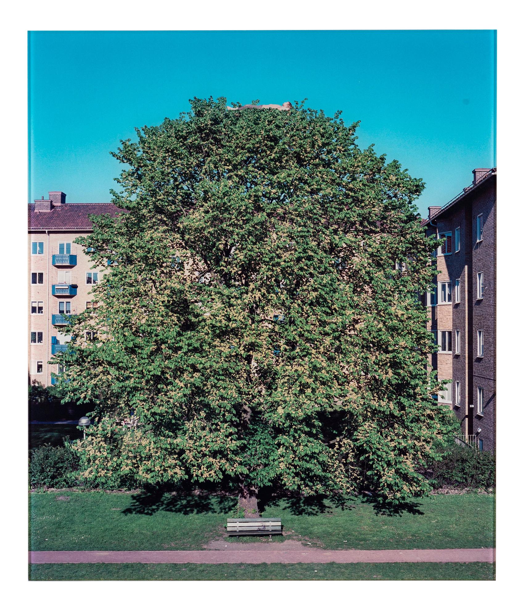 David Svensson, "Funderingar i det gröna", 2003.