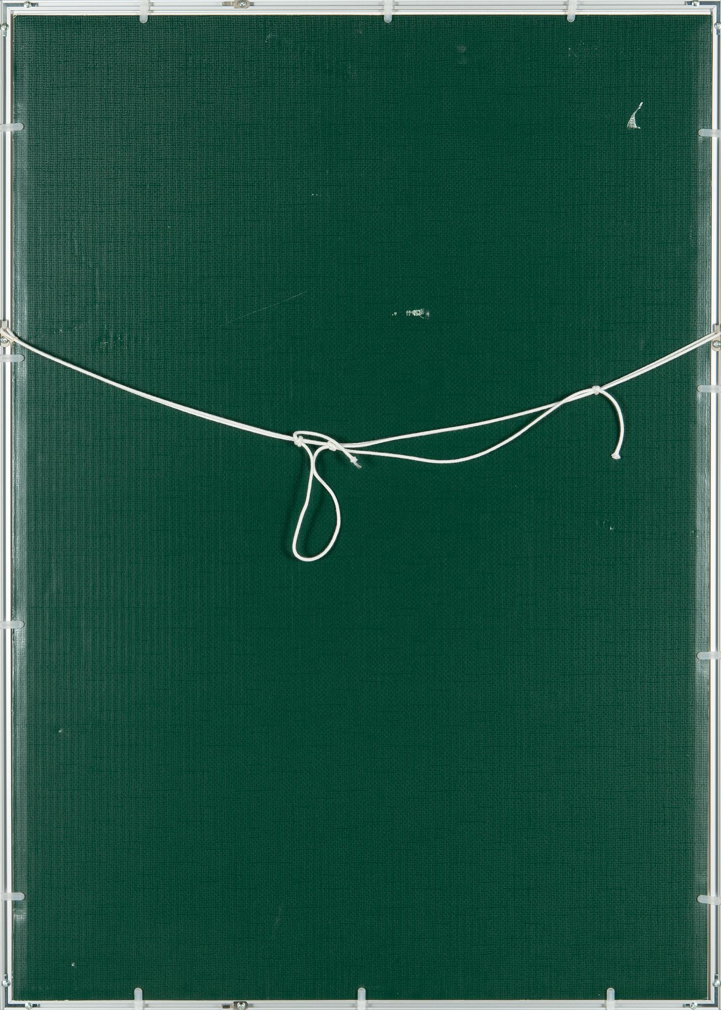 Oiva Toikka, En skiss av landskapet.