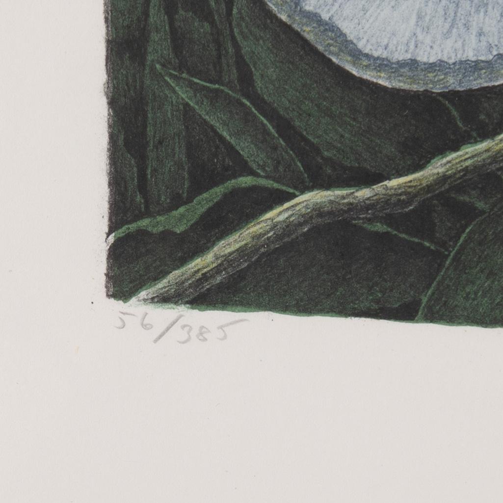Karl Axel Pehrson, lithograph in colours, 1984, signed 56/385.