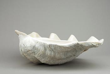 MUSSLA, fossil.