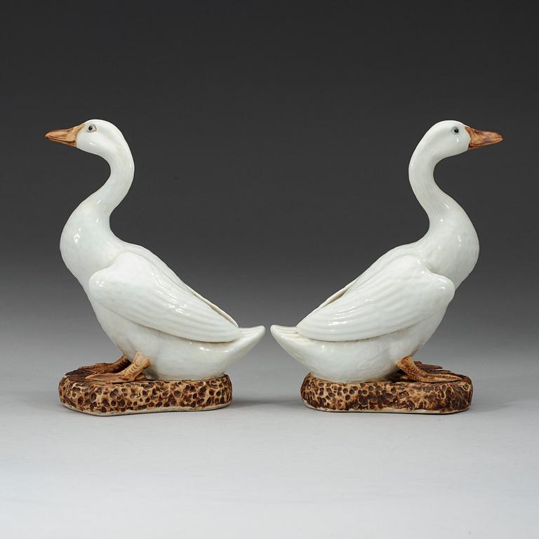 A pair white glazed ducks, early 20th century.