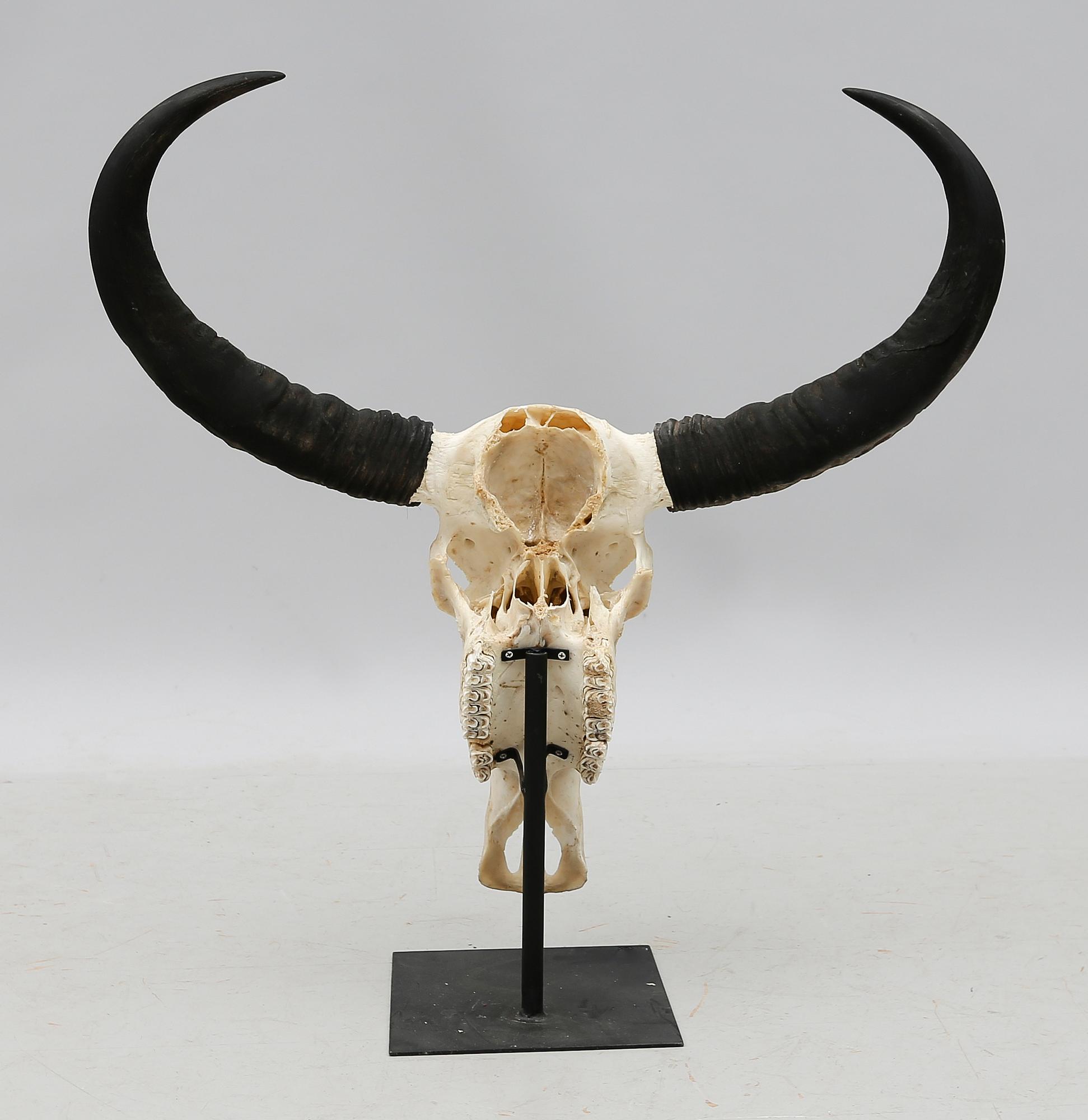 SKULPTUR, 2000-tal.
