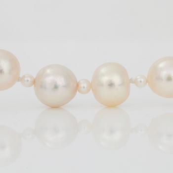 A cultured pearl necklace. Clasp with sapphire and diamonds.
