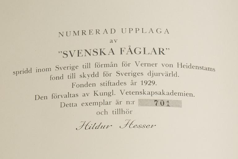 BOK, "Svenska Fåglar", M,W & F von Wright. Stockholm, 1929.