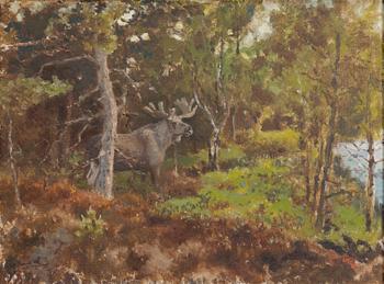 Harald Wiberg, Älg i skog.